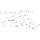 Scaling Success Logo